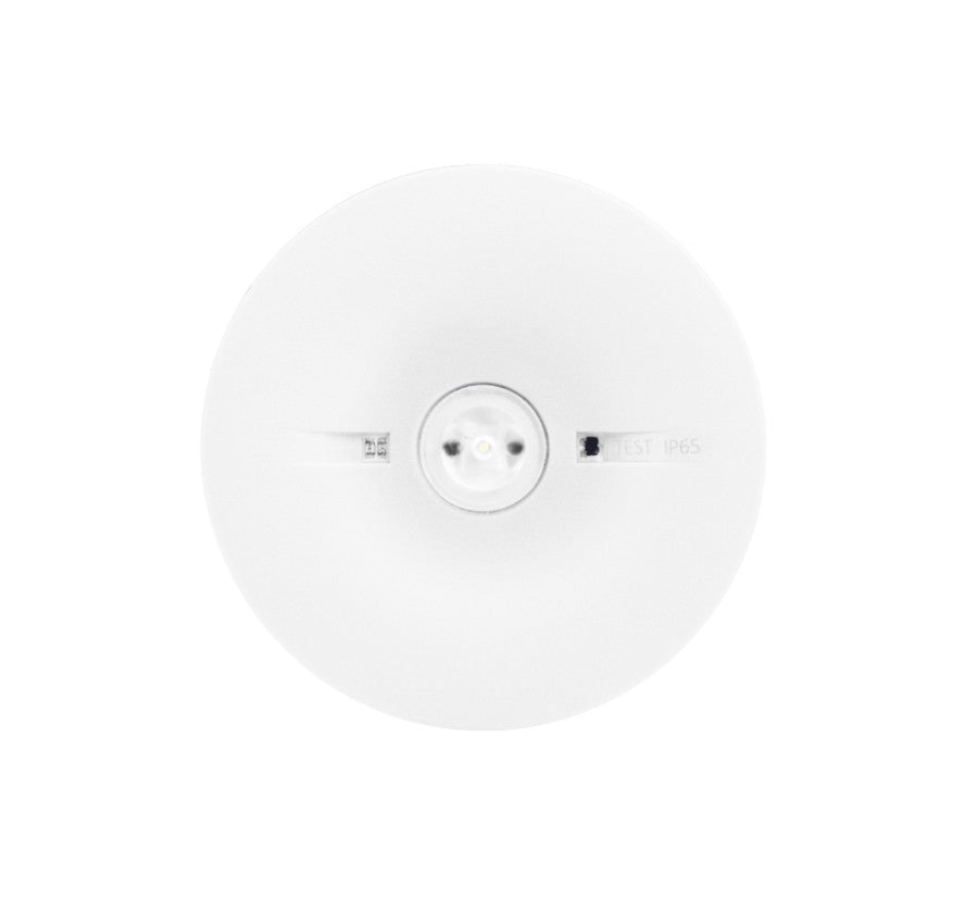 OWA FL LED LV (RND) - Sicherheitsleuchte