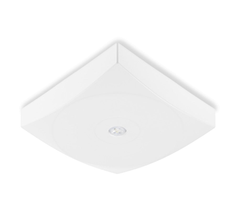 LED Sicherheitsleuchte SUNON (Quadratisch) | Zentralbatterie (24V) | IP54 Deckenaufbau | Versch. Farben